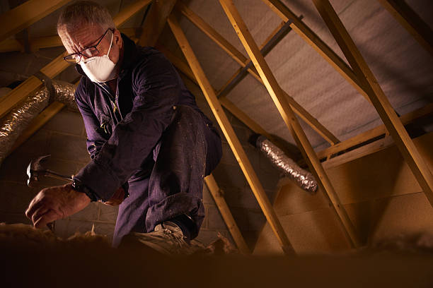 Best Residential Insulation in Anderson, SC